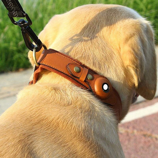 Airtag Dog Collar