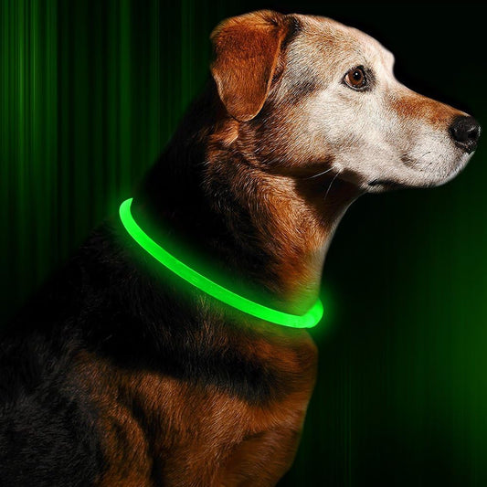 Led Light Dog Collar