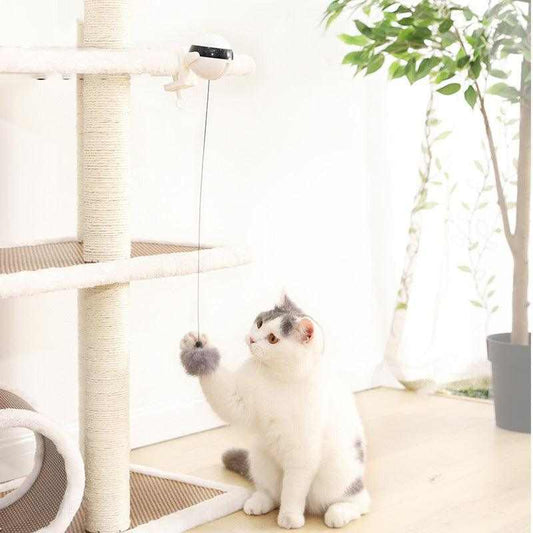 Automatic Lifting Cat Ball Toy alt