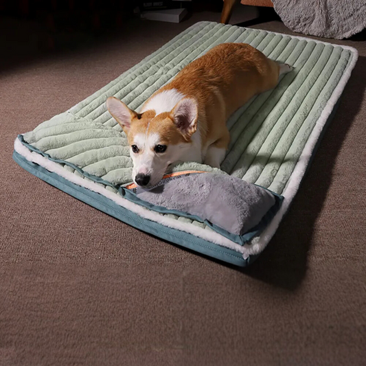 Luxury Dog Sleeping Bed