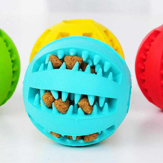 Dog Chew Toys